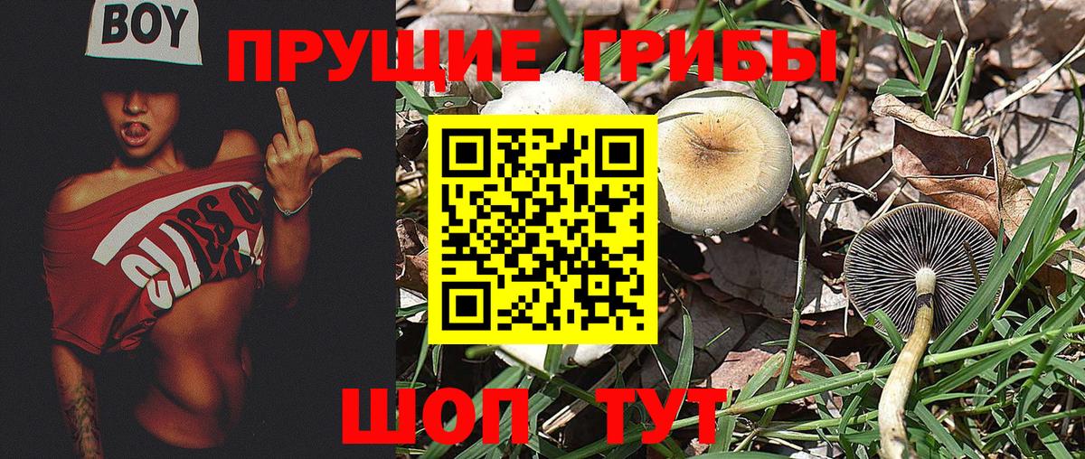 Димитровград  Псилоцибиновые грибы мицелий  Псилоцибиновые грибы мухоморы  Вход с VPN 